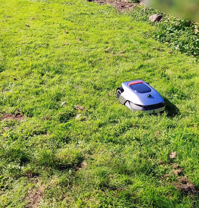 premiere tonte robot